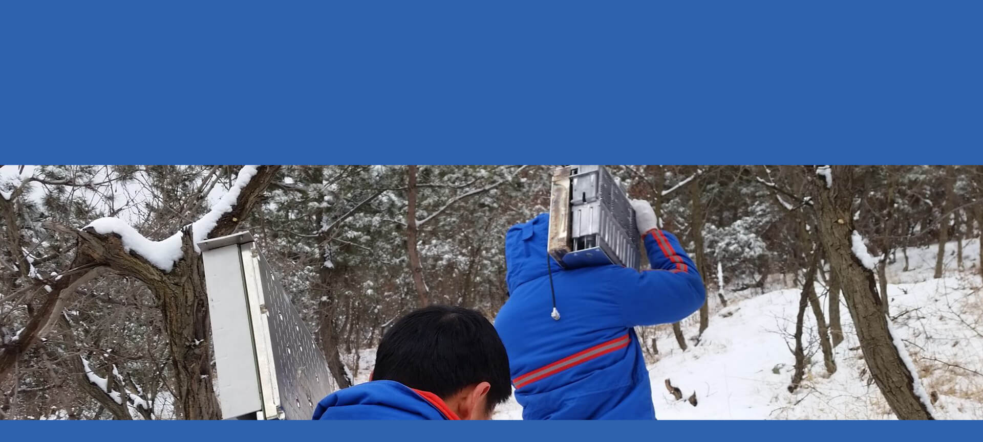 p1.jpg