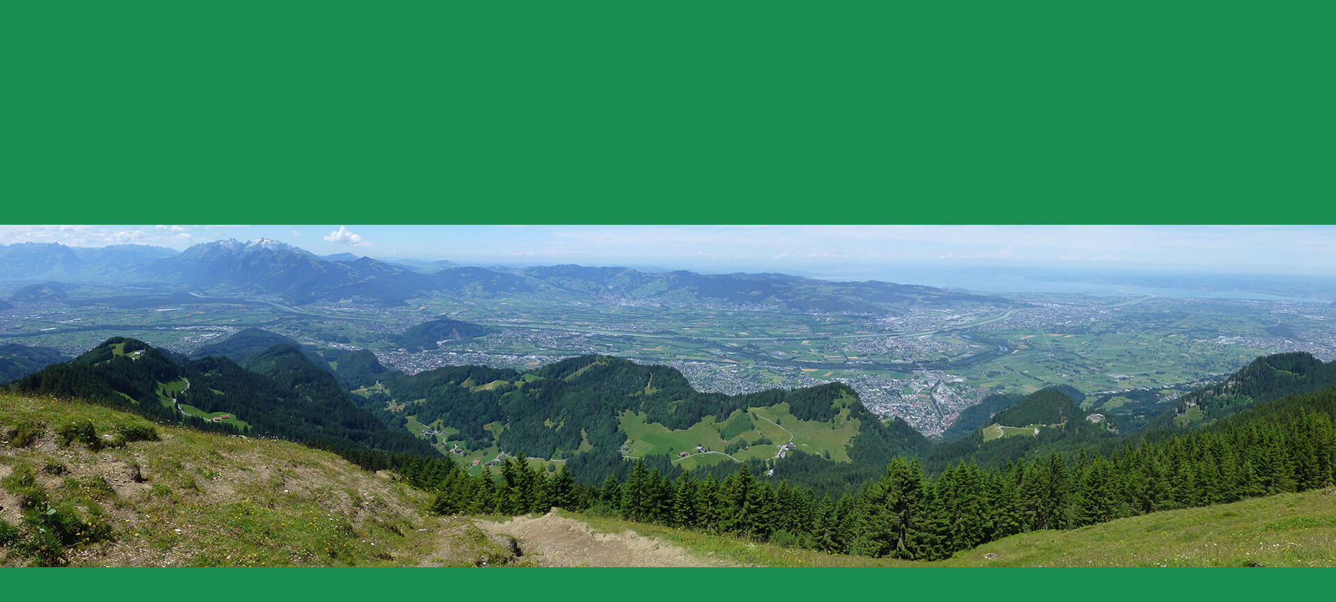 p1.jpg